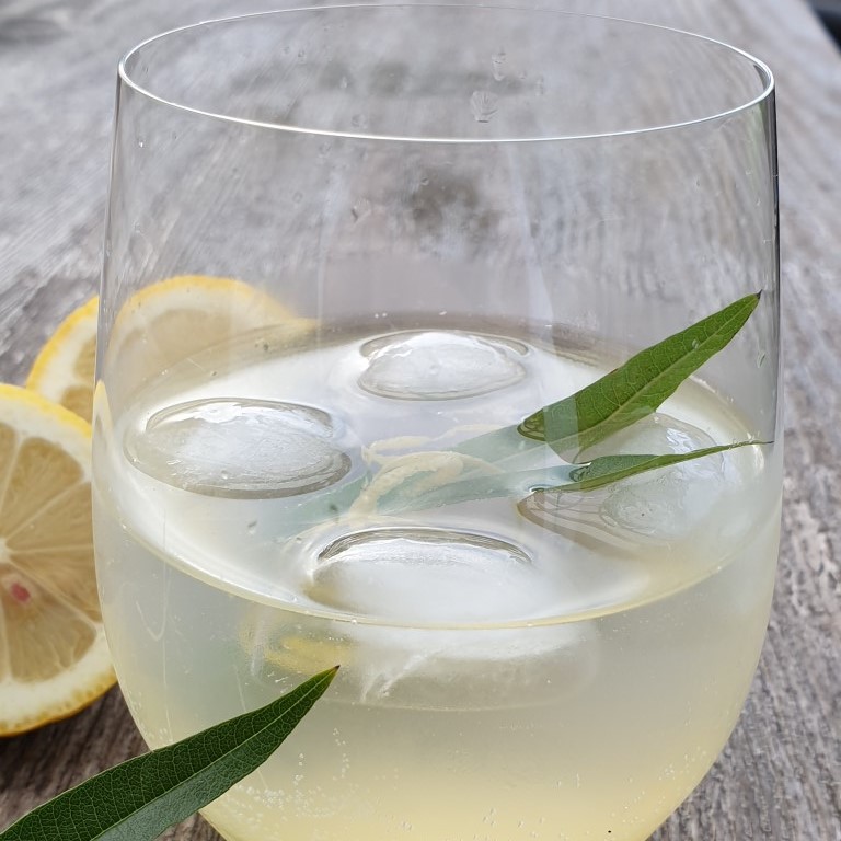 Lemon Verbena & Lemon Syrup by HerbalTeaBlending.com